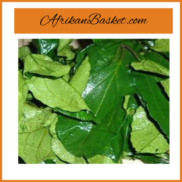 African Fresh Leaf - Ugu - Ethnic Food West African Cooking Leaves